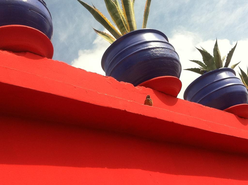 Riad Kalinka Lotus Marrakesh Exteriör bild