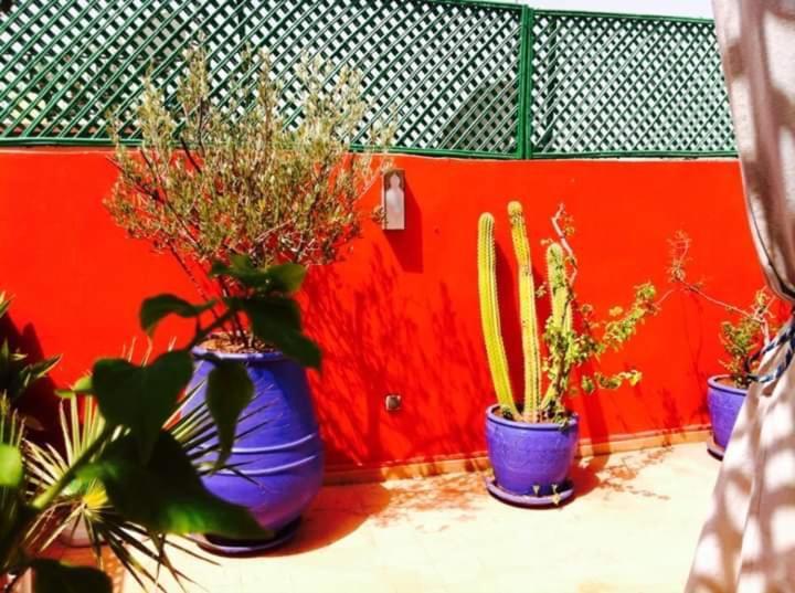 Riad Kalinka Lotus Marrakesh Exteriör bild